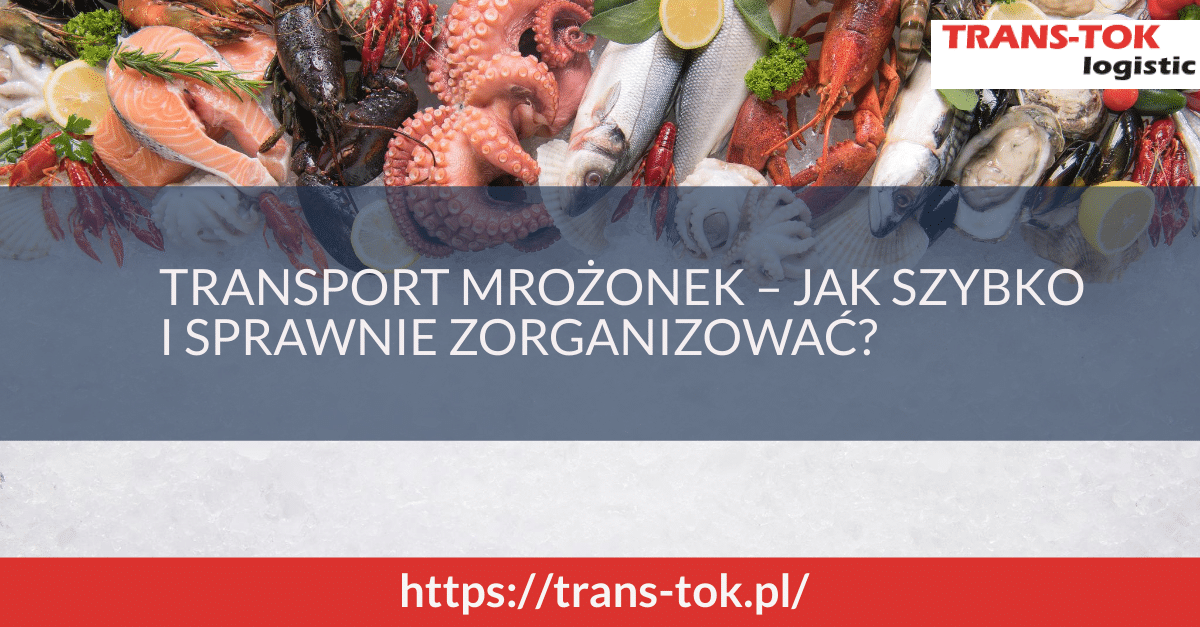Transport of Frozen Foods – How to Organize It Quickly and Efficiently