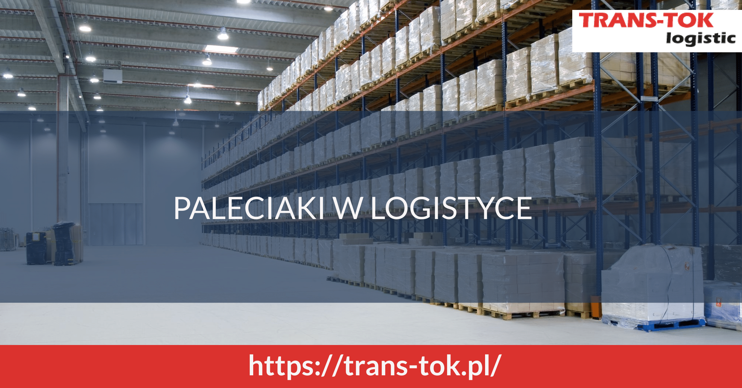 Paleciaki w logistyce